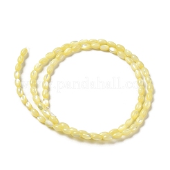 Natural Trochus Shell Beads Strands&nbsp;SHEL-K006-19C
