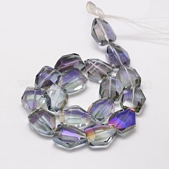 Half Rainbow Plated Faceted Polygon Glass Bead Strands&nbsp;EGLA-J087-07