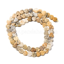 Natural Crazy Agate Beads Strands&nbsp;G-M403-A51-02