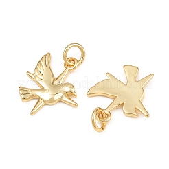 Brass Pendants&nbsp;KK-L275-58G-01