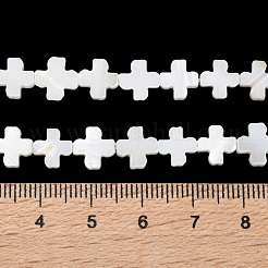 Natural Freshwater Shell Beads Strands&nbsp;X-SSHEL-B002-11