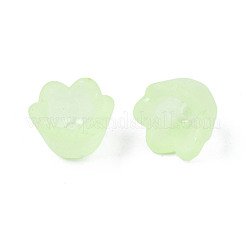 Transparent Acrylic Beads&nbsp;FACR-N005-001
