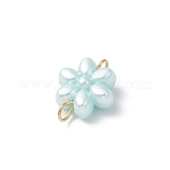 Acrylic Connector Charms&nbsp;PALLOY-JF04338-01