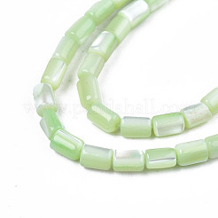 Natural Trochid Shell/Trochus Shell Beads Strands&nbsp;SHEL-N003-26-B08
