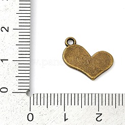 Tibetan Style Alloy Pendants&nbsp;TIBEP-R197-AB-FF