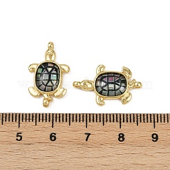 Brass Pave Natural Paua Shell Tortoise Connector Charms&nbsp;KK-C093-21G