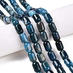 Natural Apatite Beads Strands&nbsp;G-G980-51A