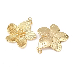 Brass Pendants&nbsp;KK-L255-04G