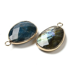 Natural Mixed Gemstone Faceted Pendants&nbsp;G-K354-03KCG