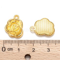 Tibetan Style Alloy Pendants&nbsp;K0NTA011