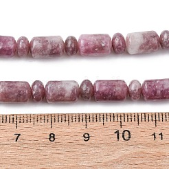Natural Lepidolite/Purple Mica Stone Beads Strands&nbsp;G-H343-B01-01