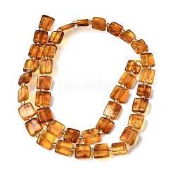 Natural Amber Beads Strands&nbsp;G-C260-A01-06