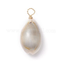 Natural Cowrie Shell Dyed Pendants&nbsp;PALLOY-JF01206
