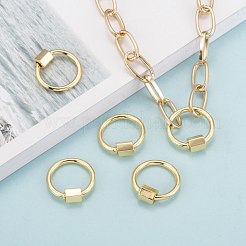 Brass Screw Carabiner Lock Charms&nbsp;KK-T047-06
