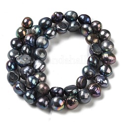 Natural Cultured Freshwater Pearl Beads Strands&nbsp;PEAR-E017-42