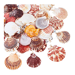32Pcs 4 Style Natural Shell Pendant&nbsp;PALLOY-PH01861