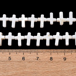 Natural Freshwater Shell Beads Strands&nbsp;SH-CBA2978-14