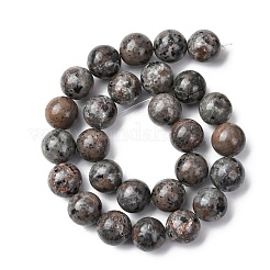 Natural Fluorescent Syenite Rock(Glow under UV Light) Beads Strands&nbsp;G-G789-02E