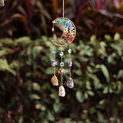 Moon Natural GemstoneChips Pendant Decorations&nbsp;PW-WG87562-01