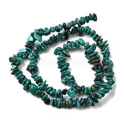 Natural HuBei Turquoise Bead Strands&nbsp;G-H345-A01-14