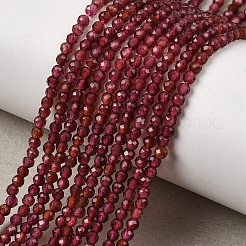 Natural Garnet Beads Strands&nbsp;G-A318-A04-2mm-01