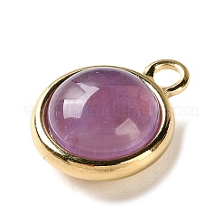 Natural Amethyst Pendants&nbsp;X-STAS-L022-398E-G