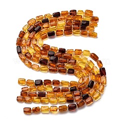 Gradient Color Natural Amber Beads Strands&nbsp;G-F803-D01-03