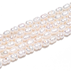 Natural Cultured Freshwater Pearl Beads Strands&nbsp;PEAR-N012-04L