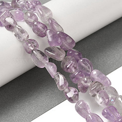Natural Amethyst Beads Strands&nbsp;G-B078-D21-01