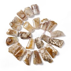 Natural Cherry Blossom Agate Beads Strands&nbsp;G-F719-12