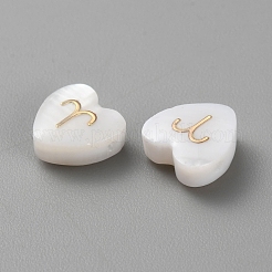 5Pcs Natural White Shell Beads&nbsp;BSHE-TAC0004-02C