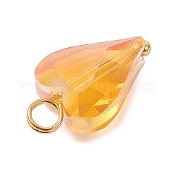 Electroplate Glass Pendants&nbsp;PALLOY-JF04539