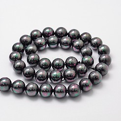 Shell Pearl Bead Strands&nbsp;X-BSHE-L025-05-8mm