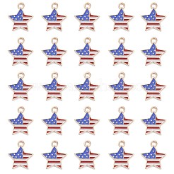 50Pcs Independence Day Light Gold Plated Alloy Enamel Pendants&nbsp;ENAM-LS0001-08LG
