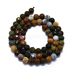 Natural Ocean Agate/Ocean Jasper Beads Strands&nbsp;G-G927-11