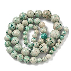 Natural Fossil Graduated Beads Strands&nbsp;G-F830-A03-01C