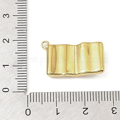 304 Stainless Steel Enamel Pendants&nbsp;STAS-Z199-06G