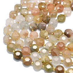 Natural Gemstone Beads Strands&nbsp;G-C116-A125-01
