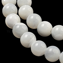 Natural Sea Shell Beads Strands&nbsp;SSHEL-K013-6mm-A