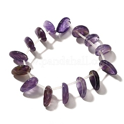 Natural Amethyst Beads Strands&nbsp;G-P561-A02-01