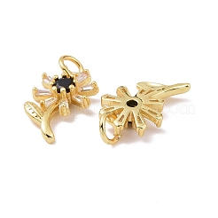 Rack Plating Brass Micro Pave Cubic Zirconia Pendants&nbsp;KK-E033-11G
