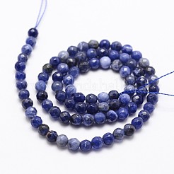 Natural Sodalite Beads Strands&nbsp;X-G-D840-19-4mm
