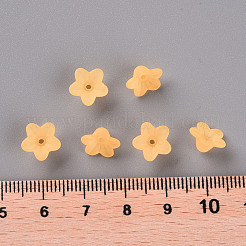 Transparent Acrylic Beads&nbsp;PL554-07