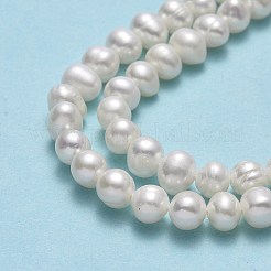 Natural Cultured Freshwater Pearl Beads Strands&nbsp;PEAR-F018-15-01-X