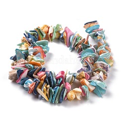 Natural Spiral Shell Beads&nbsp;X-BSHE-B003-17