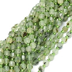 Natural Prehnite Beads Strands&nbsp;G-O201B-19