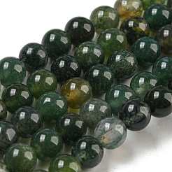 Natural Moss Agate Round Beads Strands&nbsp;G-S151-6mm