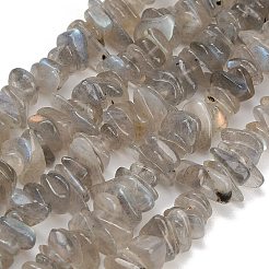 Natural Labradorite Beads Strands&nbsp;GG-CBAC61B-C06-01