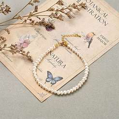 Anklets&nbsp;AJEW-AN00293-01