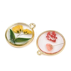 Alloy Epoxy Resin Pendants&nbsp;FIND-Z114-01G-04